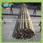 Bamboo poles support apple tree growing