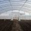 Commercial Greenhouse for agriculture