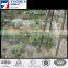 Hot Sale Climbing Support Net for Vegetable,Flower