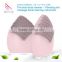 Rechargeable Face pack brush electric body exfoliator