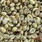VIETNAM GREEN COFFEE BEANS- HIGH QUALITY