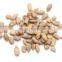 Sunflower Kernels Reasonable Prices Dried Sunflower Seeds Peeled Sunflower Seeds