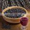 GMP Manufacturer supply good quality Slim --keeping Acai Berry Extract Euterpe Badiocarpa Extract