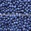 Iqf Blueberry frozen blueberry (Grade A) local in "Country of blueberry"