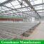 Customized High Quality Polycarbonate Sheet Agricultural Greenhouses