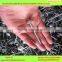 Galvanized Roofing Nail hebei factory