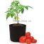 tomato grow bags Garden Flower Planter Pot hydro for flower system smart non woven plant bag (1 gal to 1200 gal)