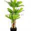 SJ0301112 Artificial decorative foliage tree banana tree products