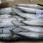 HACCP frozen seafood mackerel manufacturer
