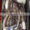 frozen giant squid tentacles/frozen giant squid soft tentacles