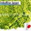 Japanese Green Tea powder produced in Fukuoka Japan for wholesale