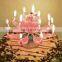 2017 Amazing Happy Birthday Flower Lotus Magic Candle