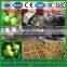 Automatic green walnut/almond sheller/peeling machine for sale