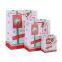 Custom Printed Recycle Craft Shopping Paper Bag