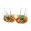Common Mode Choke Coil Toroid Filter PFC Inductor