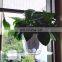 Acrylic Garden Plant Shelf Acrylic Plant Pot Transparent Acrylic Shelf Planter with Strong Sticky Suctions