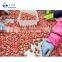 Sinocharm BRC A Approved Новая урожайность сладких клубник Sweet Charlie оптовая IQF замороженная клубника для высоких продаж