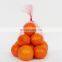 Plastic Pack Bag Biodegradable Custom Fruit Vegetable Onion Garlic Net Mesh Packaging Bag in Roll for Potato