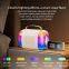 Active Portable Speakers RGB Colorful Lighting Effects LED Super Loud Sound USB WiFi Connectivity Y5 Karaoke Speaker With Mic