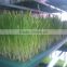 new condition hydroponic fodder sprouting machine / new condition fodder sprouting machine