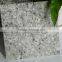 20 years experienceful China factory Pearl Orchid Granite