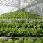 Greenhouses Weed moisture barrier film