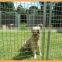 Dog Cage