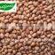 2014 crop Shandong peanut