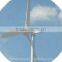 Hummer SWG 1000W/48W Wind Turbine for Residential Use