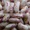 we are supplying speckle kidney beans for sale