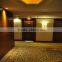 Luxury Hotel Carpet, Wool Axminster Carpet for Hotel, Corridor Carpet