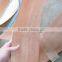 TC300E edge band production Veneer finger jointer