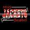 Falcon Softball Heat Transfer Vinyl Iron On