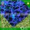 201 304 Mirror Etched Titanium Decoration Stainless Steel Sheet