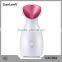 Skin Care Home Use Electric Danlong Nano Ionic Facial Steamer Price ,Mini Facial Steamer For Sale