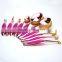 Synthetic Hair Pink Hot Selling Oval Makeup Brush Set 10pcs Manufacturer