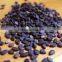 Organic black sesame in China