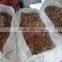 Competitive Price 99% chitin.