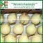 2016 New Season Chinese Sweet Pear Yali pear/Sweet China YA Pear