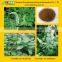 GMP Factory Supply Natural Black Cohosh Extract Powder
