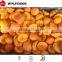 frozen apricot halves 2015 china red chain best price