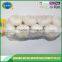 10kg carton natural garlic
