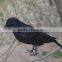 2015 New Hunting Decoy artificial crows wholesale