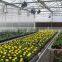 Movable greenhouse seed bench