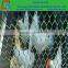 plastic poultry netting