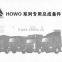 HOWO TRUCK PARTS