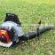 remove dust and particles backpack blower for sale