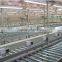 Manufacturer food processing donut roller table conveyor