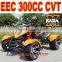 ATV China 300cc EEC