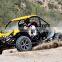 renli 1100cc desert cart from China
